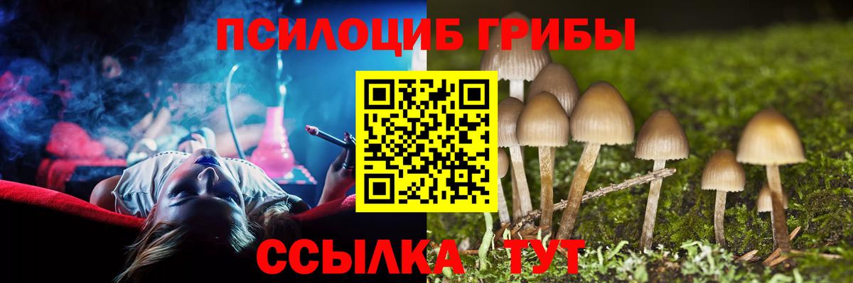 Галлюциногенные грибы MAGIC MUSHROOMS  Вход с VPN  Шебекино  Псилоцибиновые грибы Psilocybe 